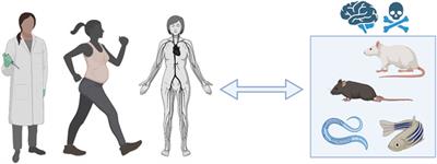 Editorial: Women in neurotoxicology: 2021